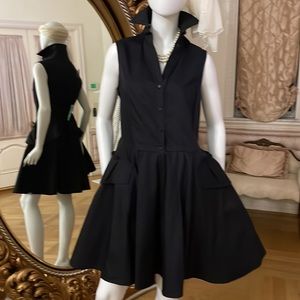 COPY - This Jason Wu A-line front buttons down dress has busk in the back